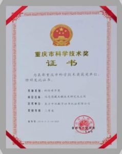 IT行業(yè)資質及榮譽