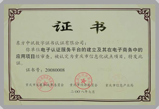 IT行業(yè)資質及榮譽