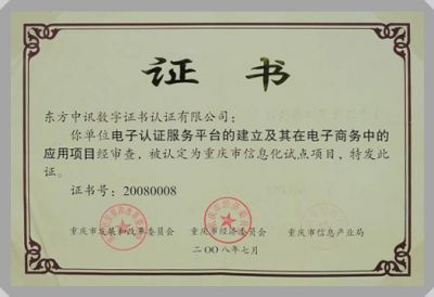 IT行業(yè)資質及榮譽