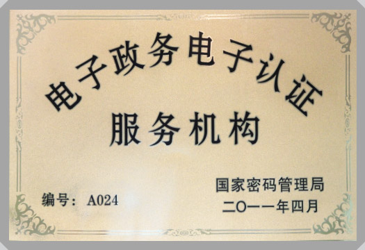 IT行業(yè)資質及榮譽