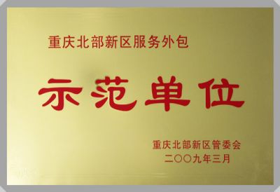 IT行業(yè)資質及榮譽