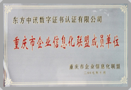 IT行業(yè)資質及榮譽